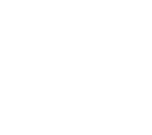 IRONGATE Security Logo